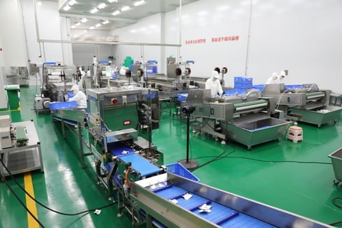 拜泉縣 技術咨詢賦能重點項目，全力開創建設新局面